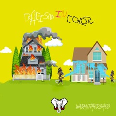 Racism In Color - War Mothershed