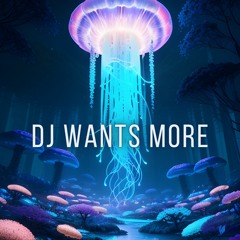 DJ Wants More