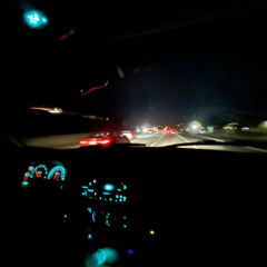 autumn leaves - bass only