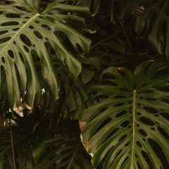 KAUAI (3.27.2015) [Childish Gambino Type Beat]
