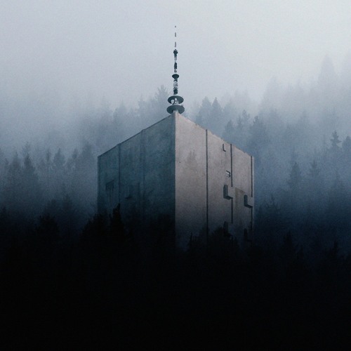 Dark Woods