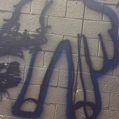 Lil Fulton - Phony Opps