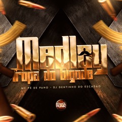 MC PÉ DE PANO - MEDLEY DA TROPA DO BIGODE [ DJ DENTINHO DO ESCADÃO ]