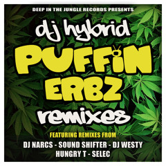 Puffin Erbz (VIP Mix)