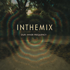 InTheMix - Our Inner Frequency