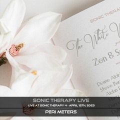 Peri Meters - Live at Sonic Therapy 4