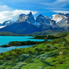La Desicion De Chile