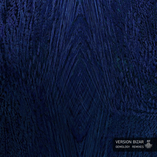 ADNVA05 // VA - VERSION BIZAR - GEMOLOGY REMIXES(OUT NOW)