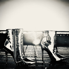 Coyote Line Dancin’ Queens