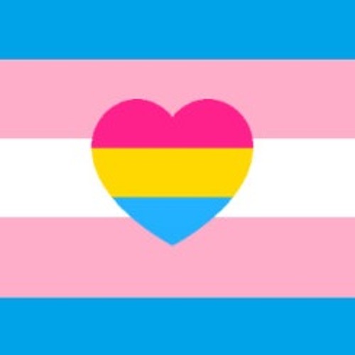 💕Love is Love 🏳️‍⚧️