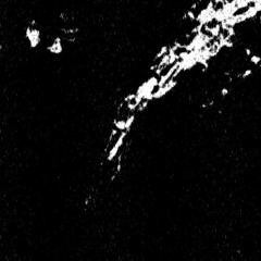 acolyte- ancient firs//clip
