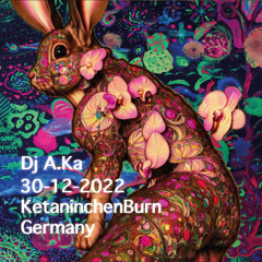 Dj A.Ka @ KetaninchenBurn 2022-12-30 Germany