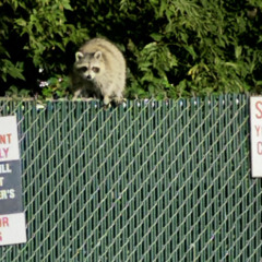 smokestack (prod. offsneakbeats)