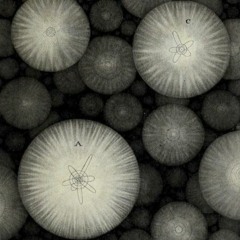Guistropium