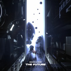 SRome & REOS - The Future(Original Mix)