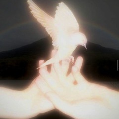 Sorrow(alma+p.incomm)