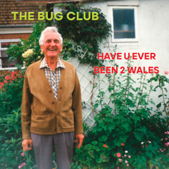New From Sub Pop