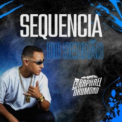 SEQUENCIA DO SERRÃO - DJ RAPHAEL DRUMOND