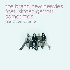 The Brand New Heavies Feat. Siedah Garrett: Sometimes [Parrot Zoo Boomin' Beats Remix]