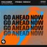 FAULHABER - Go Ahead Now (Pribo Remix)