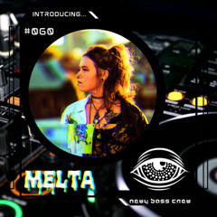 Introducing... Guest Mix #060 Melta