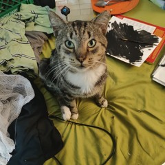 excessive expressive .mp3