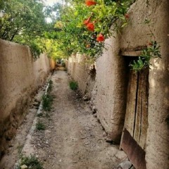 A HAL  KAR O HAL KAR #Sariki