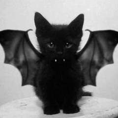 hate you all (prod. Bounce Kid)