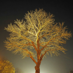 Yoruldu Yüreğim (My Heart Grew Weary)