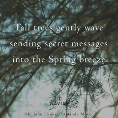 Sending Secret Messages (naviarhaiku439)