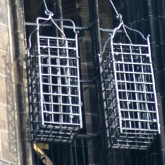 Everybody Looks The Same (Demo 3)