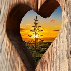 Dawn Diaries 6 - Tender Heart - DJ Dane Sunday Morning Livestream
