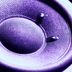 BASSRUBS 5: YARDFEST 2020 (Studio Mix)