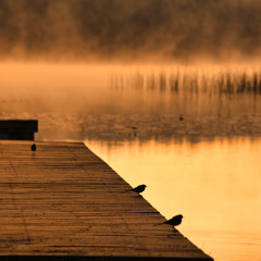 Lakeview