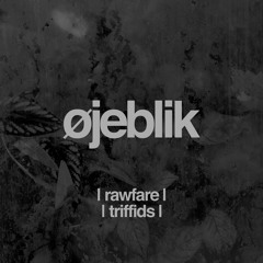 Øjeblik - Rawfare (Free Download)