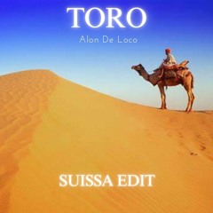 Toro X 3 Sense (Suissa Edit) [Alon De Loco, Eran Hersh]