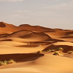 Dunes.