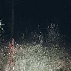 lost Snippet 01