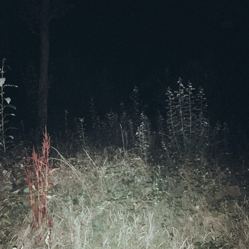 Lost Snippet 01 (slowed)