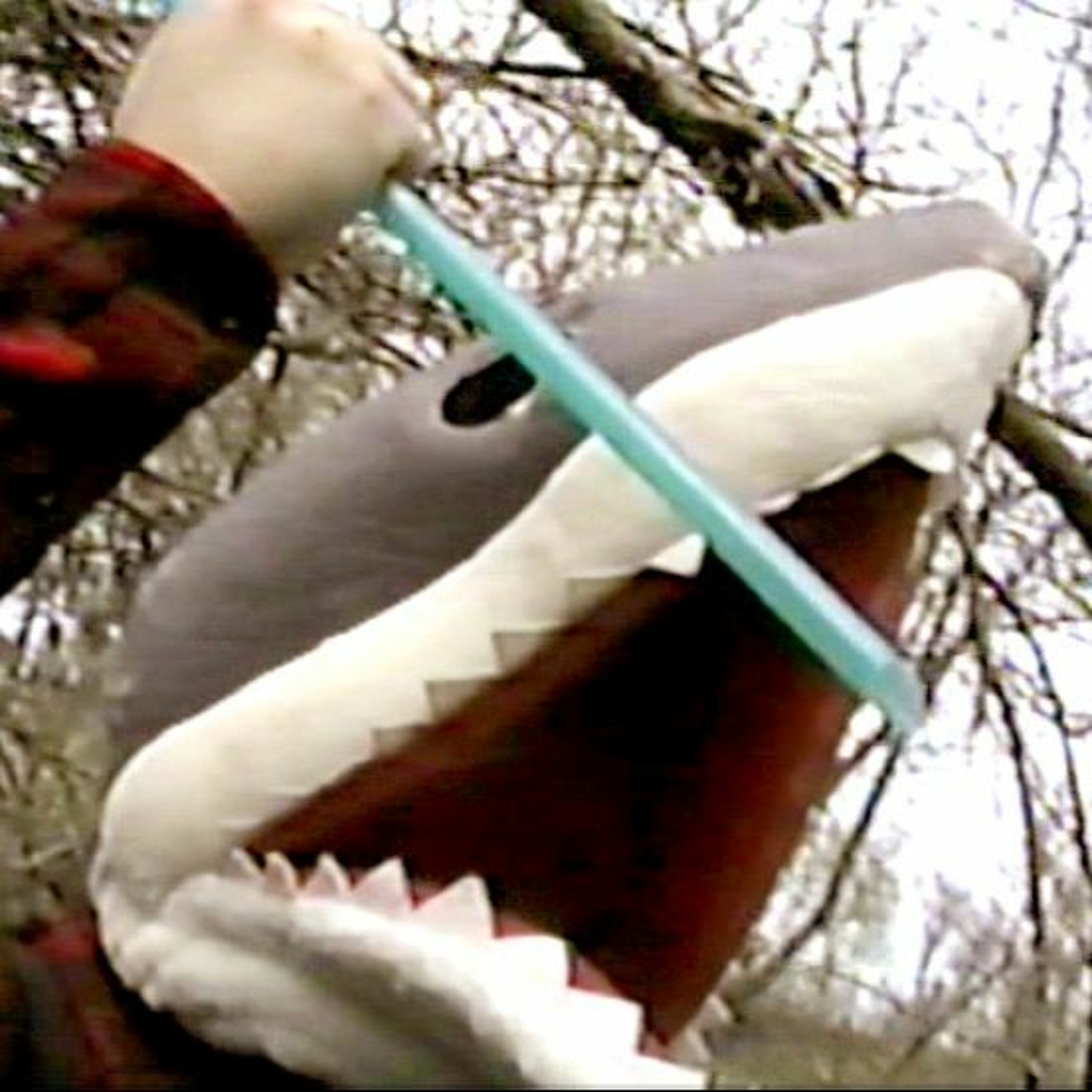 INTERVIEW: The Many Emotions of Adam Thorn's Terrible Two Day Film Festival