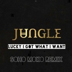 Jungle - Lucky I Got What I Want (Soho Moko Remix)