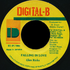 GLEN RICKS - FALLING IN DUB