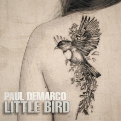 Little Bird (Live Acoustic Version) Kay Mott/Paul deMarco