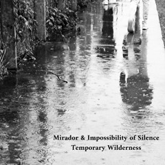 Temporary Wilderness (Mirador & Impossibility Of Silence)