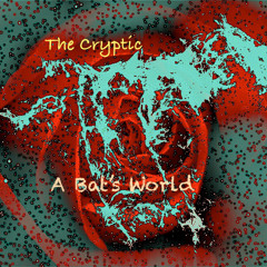 A Bat's World