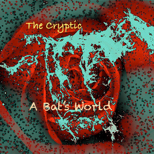 A Bat's World