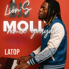 Molly si Remix Gouyad Vol.2 By Dj LionS