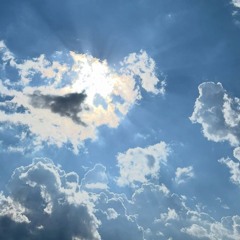 Komorebi w/ tjon-aloi 040525