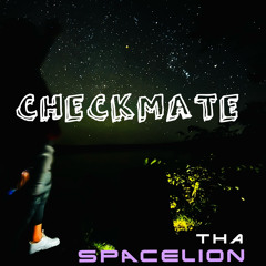 Checkmate(2024)