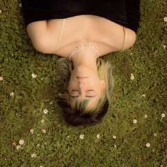 flower in the garden